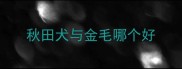 秋田犬与金毛哪个好
