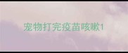 宠物打完疫苗咳嗽