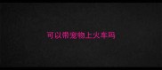 可以带宠物上火车吗