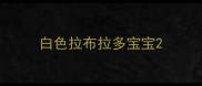 白色拉布拉多宝宝