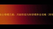 两个多月哈士奇喂几顿月龄阶段与科学喂养全攻略附每日食谱