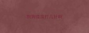 狗狗疫苗打几针啊