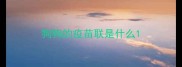 狗狗的疫苗联是什么