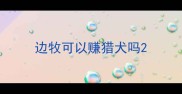 边牧可以赚猎犬吗