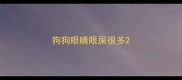 狗狗眼睛眼屎很多