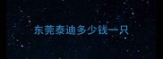 东莞泰迪多少钱一只