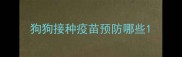 狗狗接种疫苗预防哪些