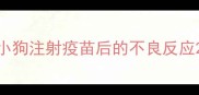 小狗注射疫苗后的不良反应