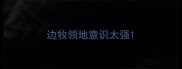 边牧领地意识太强