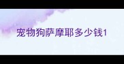 宠物狗萨摩耶多少钱
