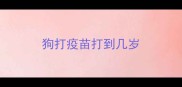 狗打疫苗打到几岁