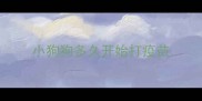 小狗狗多久开始打疫苗