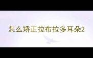 怎么矫正拉布拉多耳朵