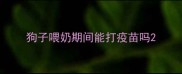 狗子喂奶期间能打疫苗吗