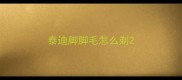 泰迪脚脚毛怎么剃