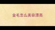 金毛怎么美容漂亮
