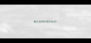 重庆宠物收留所电话