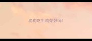 狗狗吃生鸡架好吗
