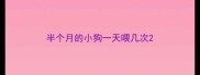 半个月的小狗一天喂几次