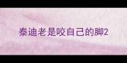 泰迪老是咬自己的脚