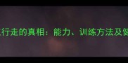 泰迪犬直立行走的真相能力训练方法及健康隐患全