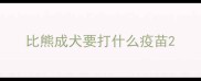 比熊成犬要打什么疫苗