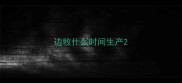边牧什么时间生产