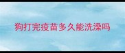 狗打完疫苗多久能洗澡吗