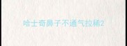 哈士奇鼻子不通气拉稀