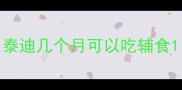 泰迪几个月可以吃辅食