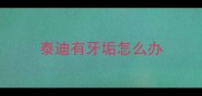 泰迪有牙垢怎么办