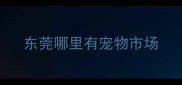东莞哪里有宠物市场