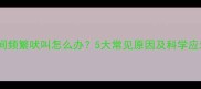 狗狗夜间频繁吠叫怎么办5大常见原因及科学应对指南