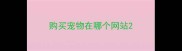 购买宠物在哪个网站
