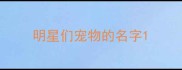 明星们宠物的名字