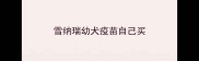 雪纳瑞幼犬疫苗自己买