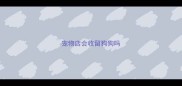 宠物店会收留狗狗吗
