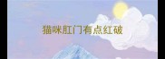 猫咪肛门有点红破