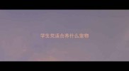 学生党适合养什么宠物