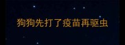 狗狗先打了疫苗再驱虫