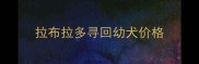 拉布拉多寻回幼犬价格