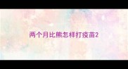 两个月比熊怎样打疫苗