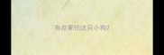 有点害怕这只小狗