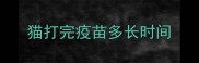 猫打完疫苗多长时间