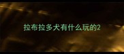 拉布拉多犬有什么玩的