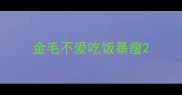 金毛不爱吃饭暴瘦