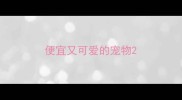 便宜又可爱的宠物