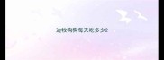 边牧狗狗每天吃多少