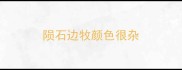 陨石边牧颜色很杂