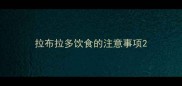 拉布拉多饮食的注意事项
